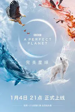 完美星球缩略图