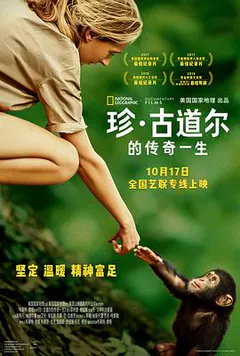 珍·古道尔的传奇一生缩略图