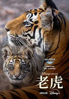 老虎缩略图