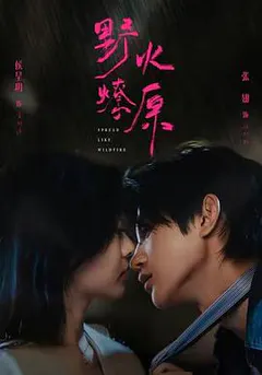 野火燎原缩略图