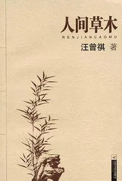 人间草木缩略图