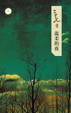 温柔的夜缩略图