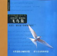 飞鸟集缩略图