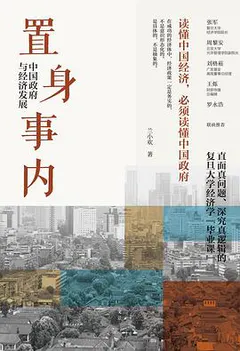 置身事内缩略图