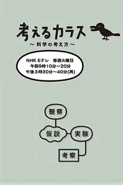 像乌鸦一样思考缩略图