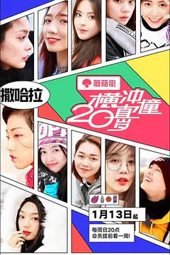 横冲直撞20岁 第一季缩略图