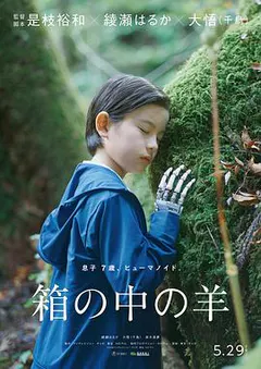 盒子里的羊缩略图