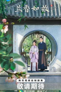 兰香如故缩略图