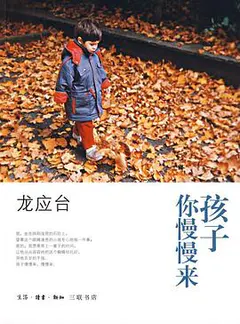 孩子你慢慢来缩略图