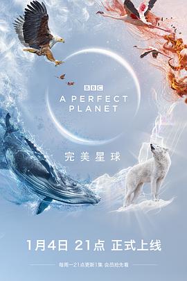 完美星球缩略图
