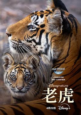 老虎缩略图