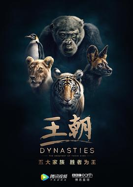 王朝 第一季缩略图
