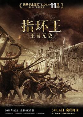指环王3：王者无敌缩略图