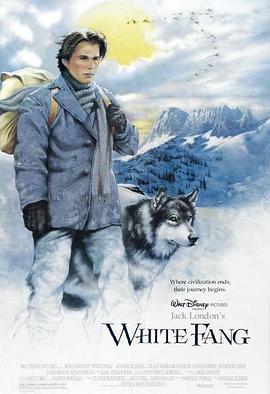 雪地黄金犬缩略图