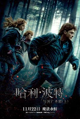 哈利·波特与死亡圣器(上)缩略图