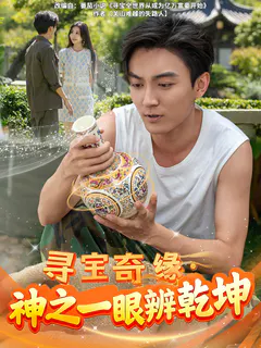寻宝奇缘，神之一眼辨乾坤缩略图