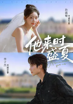 他来时盛夏缩略图