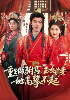 重生做驸马，玉女前妻她高攀不起缩略图