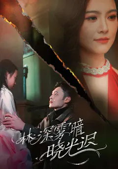 林深雾暗晓光迟缩略图