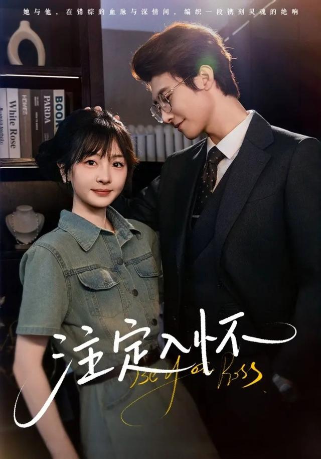 注定入怀缩略图