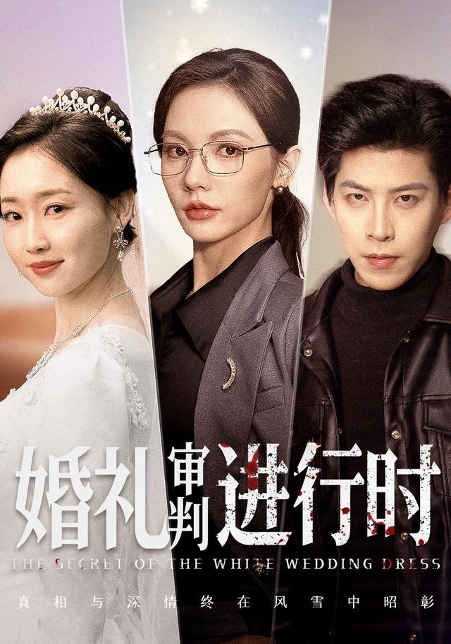婚礼审判进行时缩略图